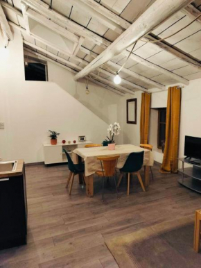 Appartement Atypique